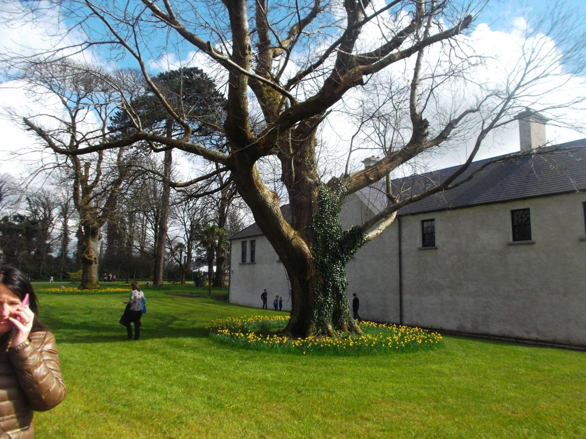 Kerry Holiday Homes At The Killarney Holiday Village Extérieur photo